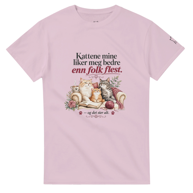 "Kattene mine liker meg bedre enn folk flest" t-skjorte